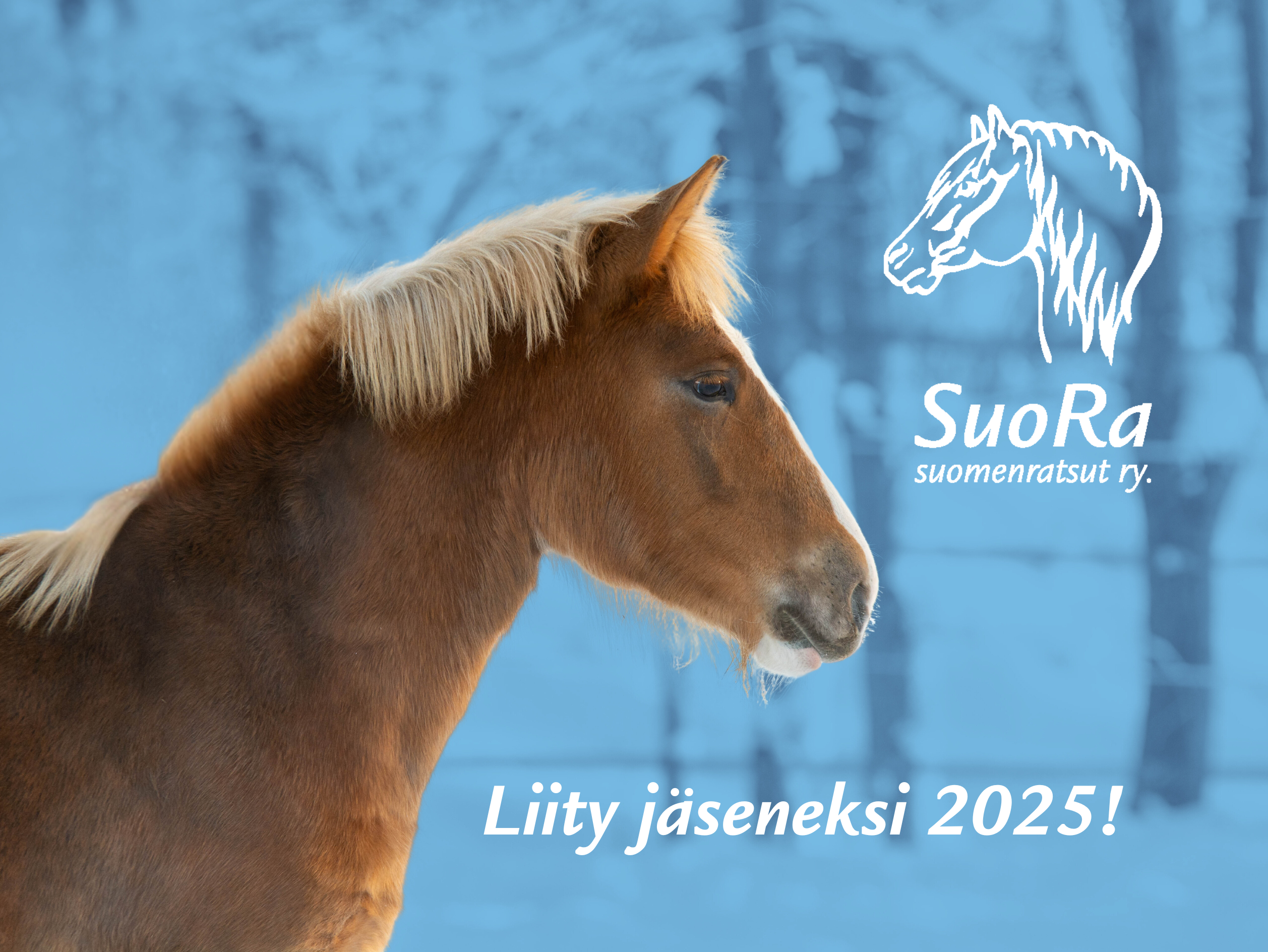 Liity J seneksi 2025 Suomenratsut Ry SuoRa liity-j-seneksi-2025-suomenratsut-ry-suora